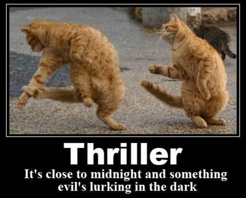 Cats dancing to 'Thriller'.